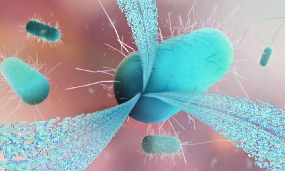 Антибиотична резистентност