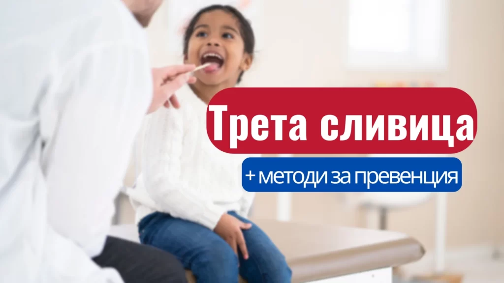 Трета сливица - симптоми, диагностика и лечение #1 25 трета сливица