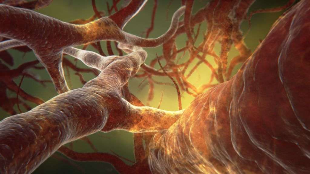 CMV - Цитомегаловирус инфекция 6 мутантен щам на covid-19, аденовирус, висока температура, денга, вируси, бактерии, инфекциозни патогени, треска, фебрилитет, лечение