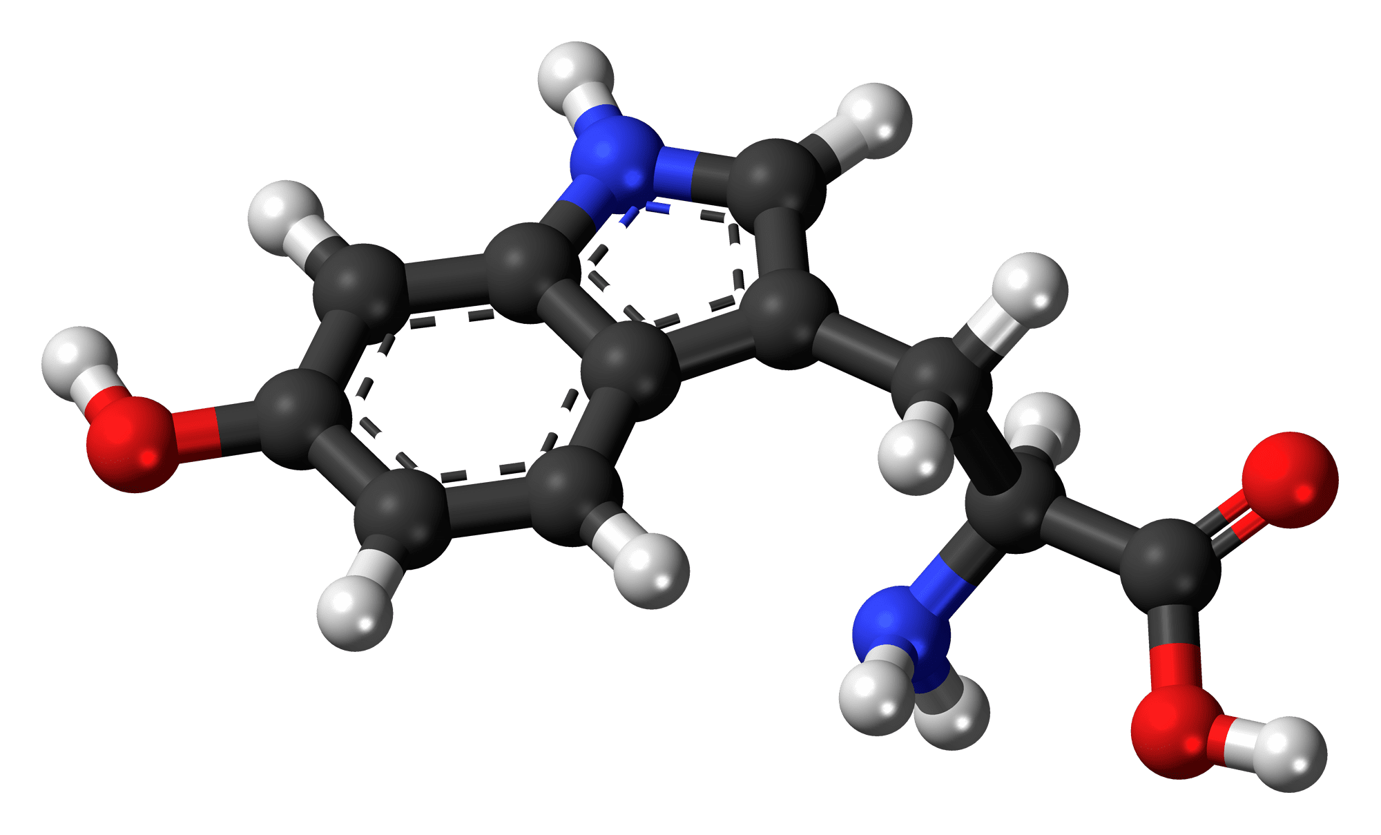 5-HTP срещу депресия и наднормено тегло 2 5-htp, 5-хидрокситриптофан, аминокиселина, 5-хидрокситриптофан срещу депресия, 5-хидрокситриптофан срещу наднормено тегло, напълняване, затлъстяване, депресия