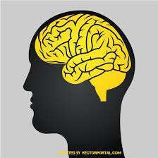 болка, рефлекси, мозък, улавяне на движещи се обекти, връзки, невронални връзки