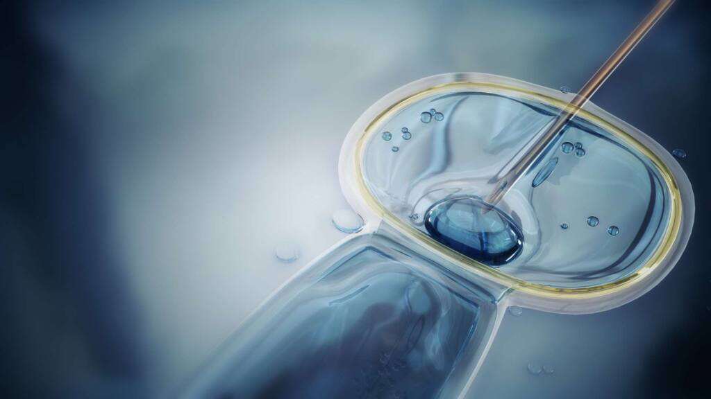 Ин-витро оплождане - кога е най-ефективно? 1 ин-витро оплождане