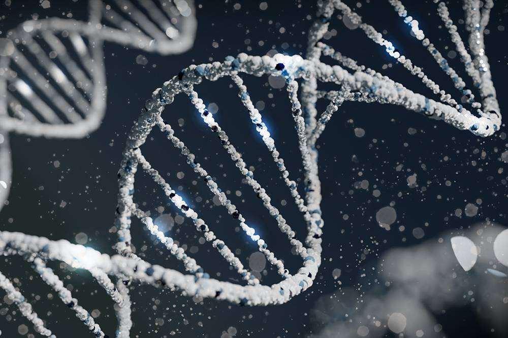 Революционизиране на сърдечно-съдовото здраве чрез персонализирана медицина 3 Сърдечно съдово здраве, генетика