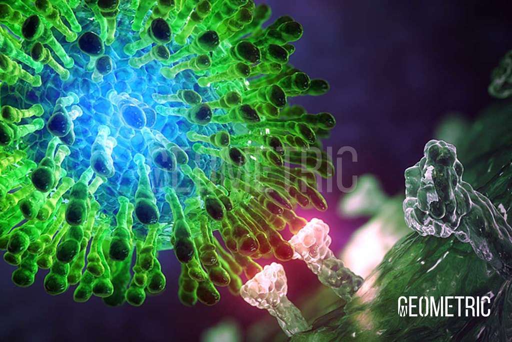 Хепатит С - 2 Нови Перспективи в Лечението 1 хепатит С HCV вирус на хепатит С
